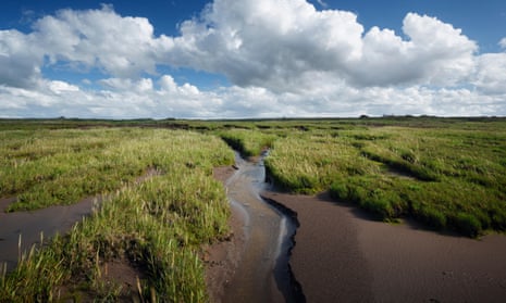 Steart Marshes in Somerset, UK.