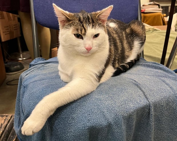 Jimmy at the Cinema Museum