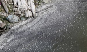 Water flowing to the Wenyuhe River on the outskirts of Beijing, is polluted with domestic sewage.