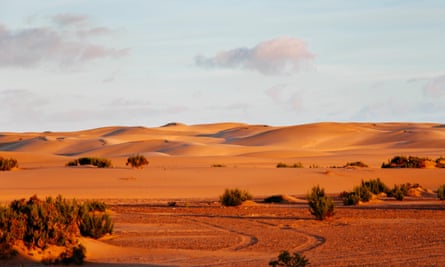 Sand dunes in Sahara desert, Western Sahara.