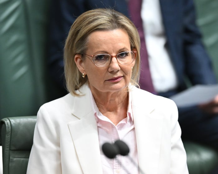 Push for Ley to dump net zero emissions pledge as some Liberals fear ‘tail is wagging the dog’