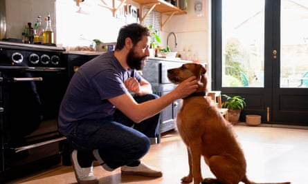A crouching man pets his terrier in the kitchen