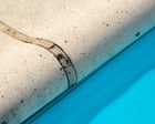 ‘Sisyphus would be proud’: Queensland tribunal orders repairs to pool that doesn’t exist