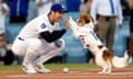 Shohei Ohtani congratulates his dog Decoy after Decoy delivered the ceremonial first pitch prior to a baseball game between the Dodgers and the Orioles on Wednesday night.