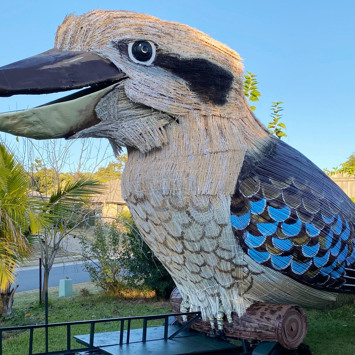Giant Kookaburra Built By Australian Man During Lockdown People Adore It Art And Design The Guardian