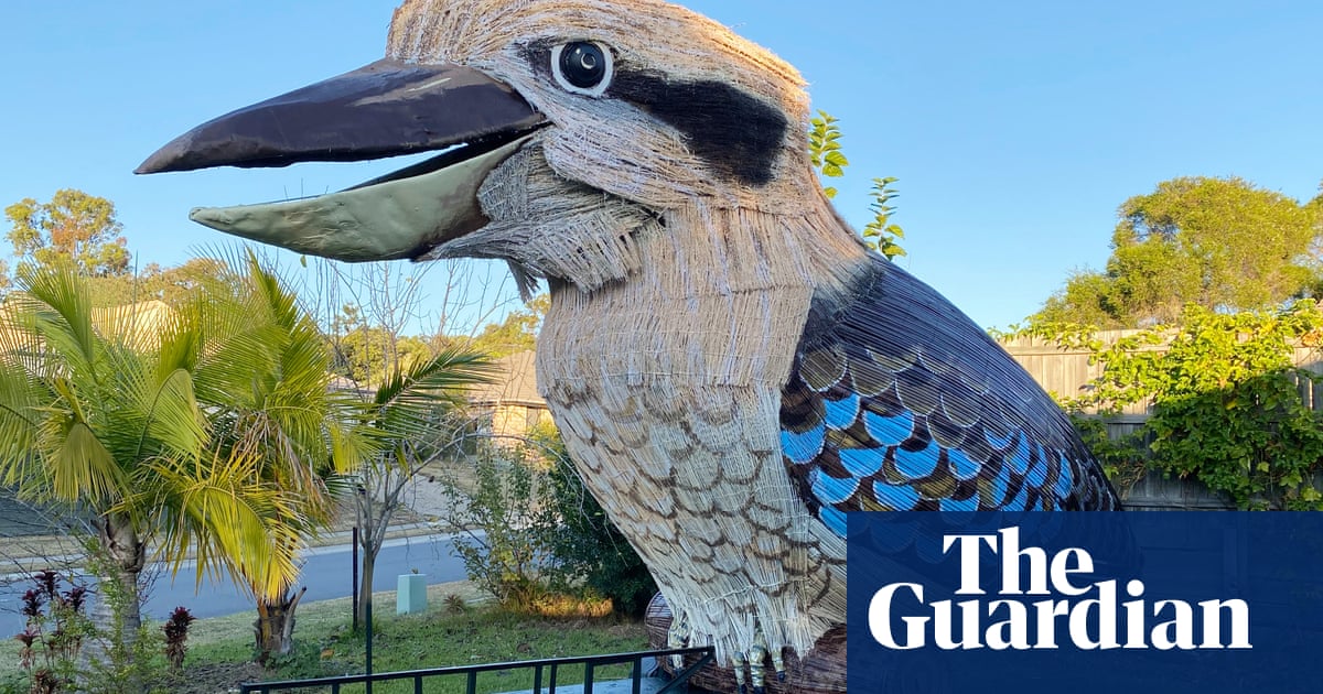 Giant Kookaburra Built By Australian Man During Lockdown People Adore It Art And Design The Guardian