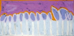 Kurrkapi (Desert oak) (2017)