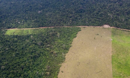 The area around Altamira suffers deforestation associated with logging and the Belo Monte hydroelectric dam.