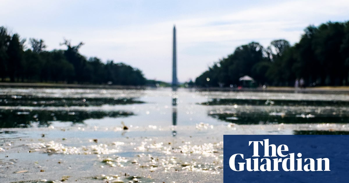 It’s not easy being green: Trump’s botched reflecting pool becomes 2,028ft metaphor
