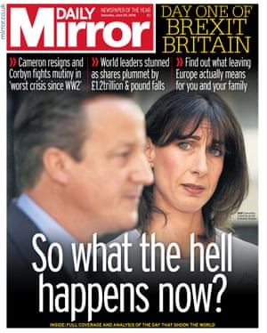 Image result for anti brexit front pages