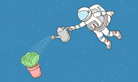‘It requires a lot of astronaut time to add water’: the challenges of gardening in space. 