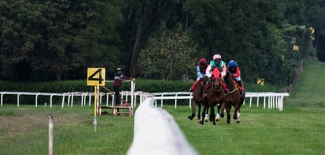 Jockeys ride horses.