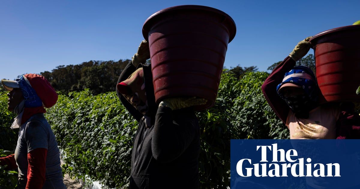 US workers facing deadly heat borrow from tomato pickers to win key protections