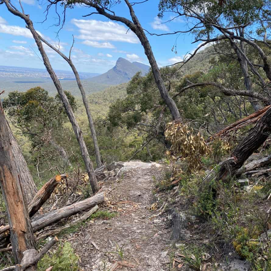 On the new Grampians Peaks Trail: ‘I have the landscape to myself for days at a time’ | Australia holidays 5 Grampians Peaks Trail