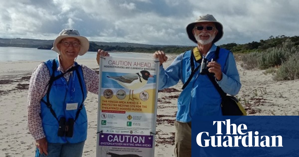 Jean hoped bird flu wouldn’t come to Australia. Then it arrived – and she saw a tern ‘trembling and swaying’