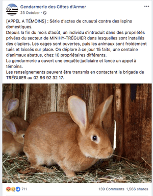 A Facebook appeal by the local gendarmerie for witnesses to the rabbit killings.