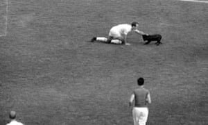 Jimmy Greaves and a stray dog during  the 1962 World Cup game against Brazil