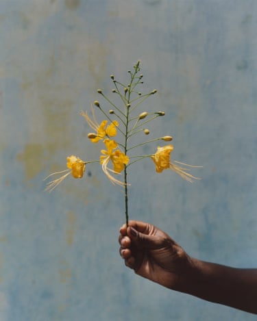 Flor en alto, 2024 , a hand holds a slender yellow flower