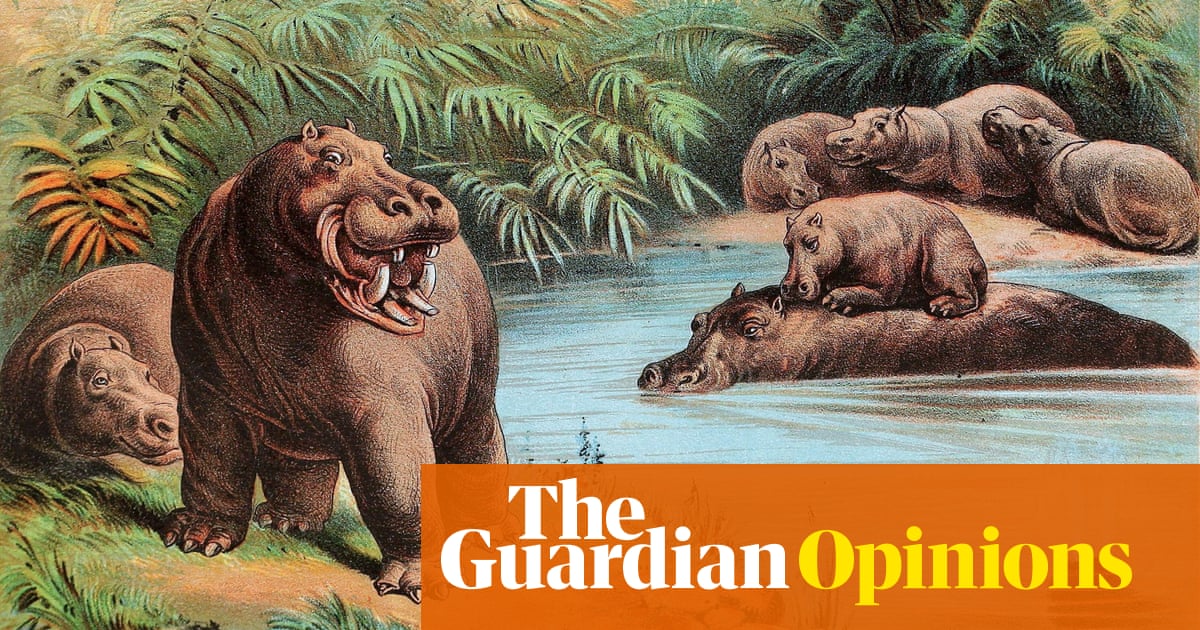 A hippopotamus: why did I have to be a hippo? Why not a hawk, a hare, a magnificent horse? | Helen Sullivan | The Guardian A hippopotamus: why did I have to be a hippo? Why not a hawk, a hare, a magnificent horse? | Helen Sullivan | The Guardian