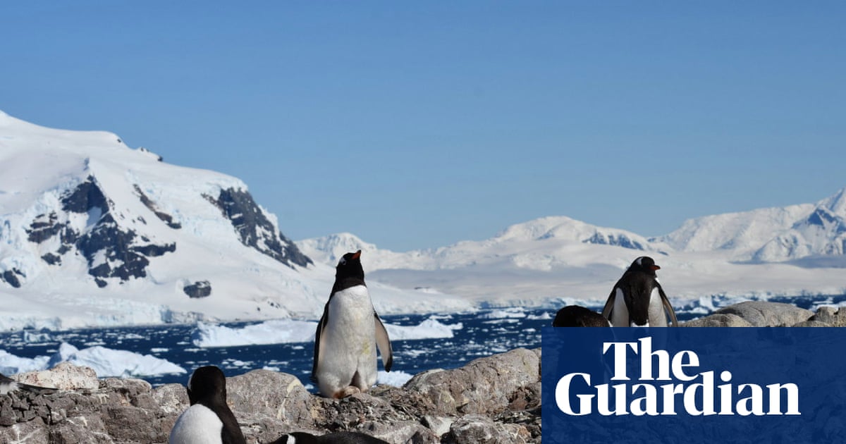 Antarctic penguins have radically shifted their breeding season seemingly in response to climate change