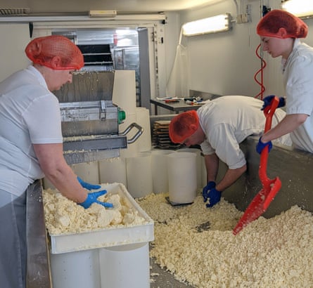 People in work smocks and hair nets making cheese by hand