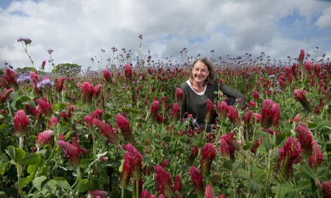 Regenerative farmer Marina O'Connell in a field of flowers