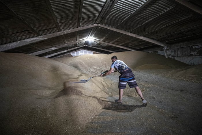 A Ukrainian farmer works at a warehouse in Odesa.