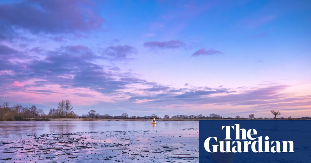 An icy swim and luscious lupins– readers’ best photographs
