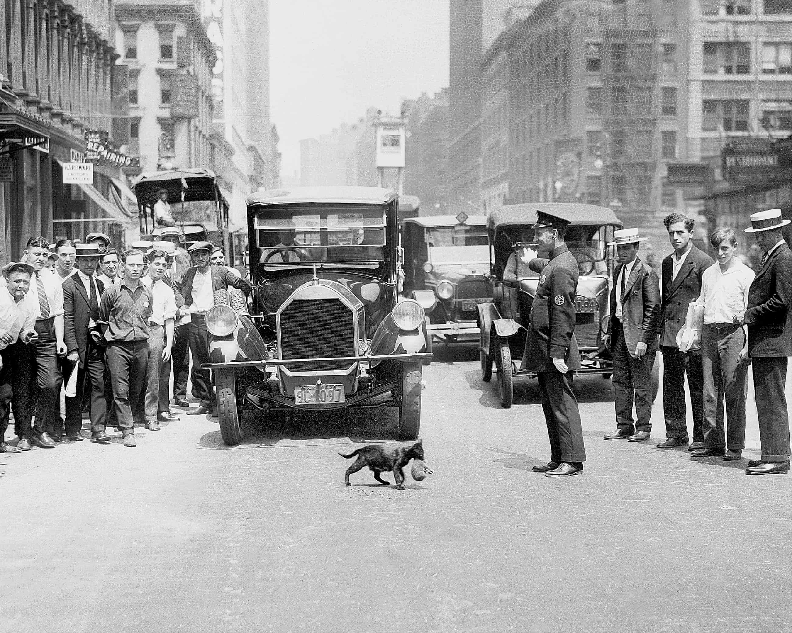 Cat Men at the Turn of the Century