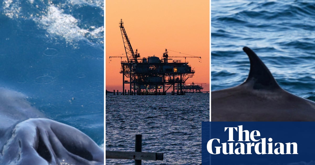 Rice’s whales predate modern humans. Now Trump could make them extinct