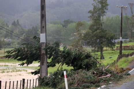 Fallen trees on power lines leave numerous homes without electricity near Warkworth.