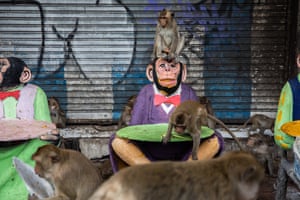 Monkeys walk past monkey statues during the monkey festival in Lopburi, Thailand, where local citizens and tourists gather to provide a banquet to the thousands of long-tailed macaques that live in central Lopburi