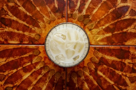Horchata Hi Cacti, a Tex-Mex-inspired cactus-shop turned coffee-spot in Brighton.