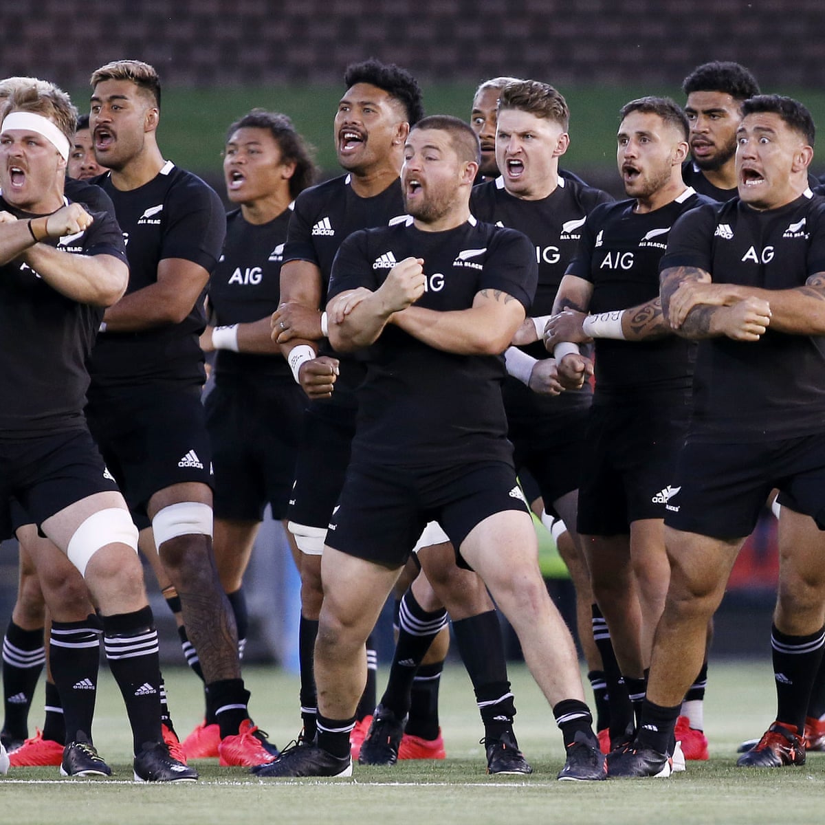 New Zealand Goes to Rugby World Cup Final with Dominant Win