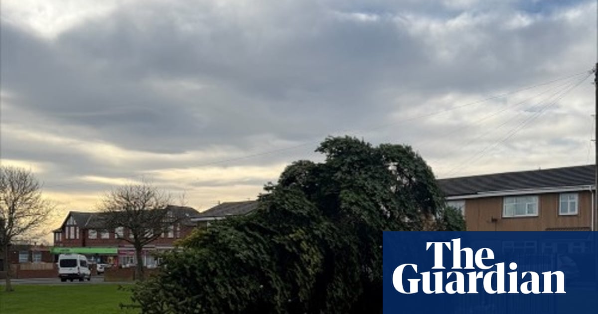 Two men arrested after Christmas tree in Durham village chopped down