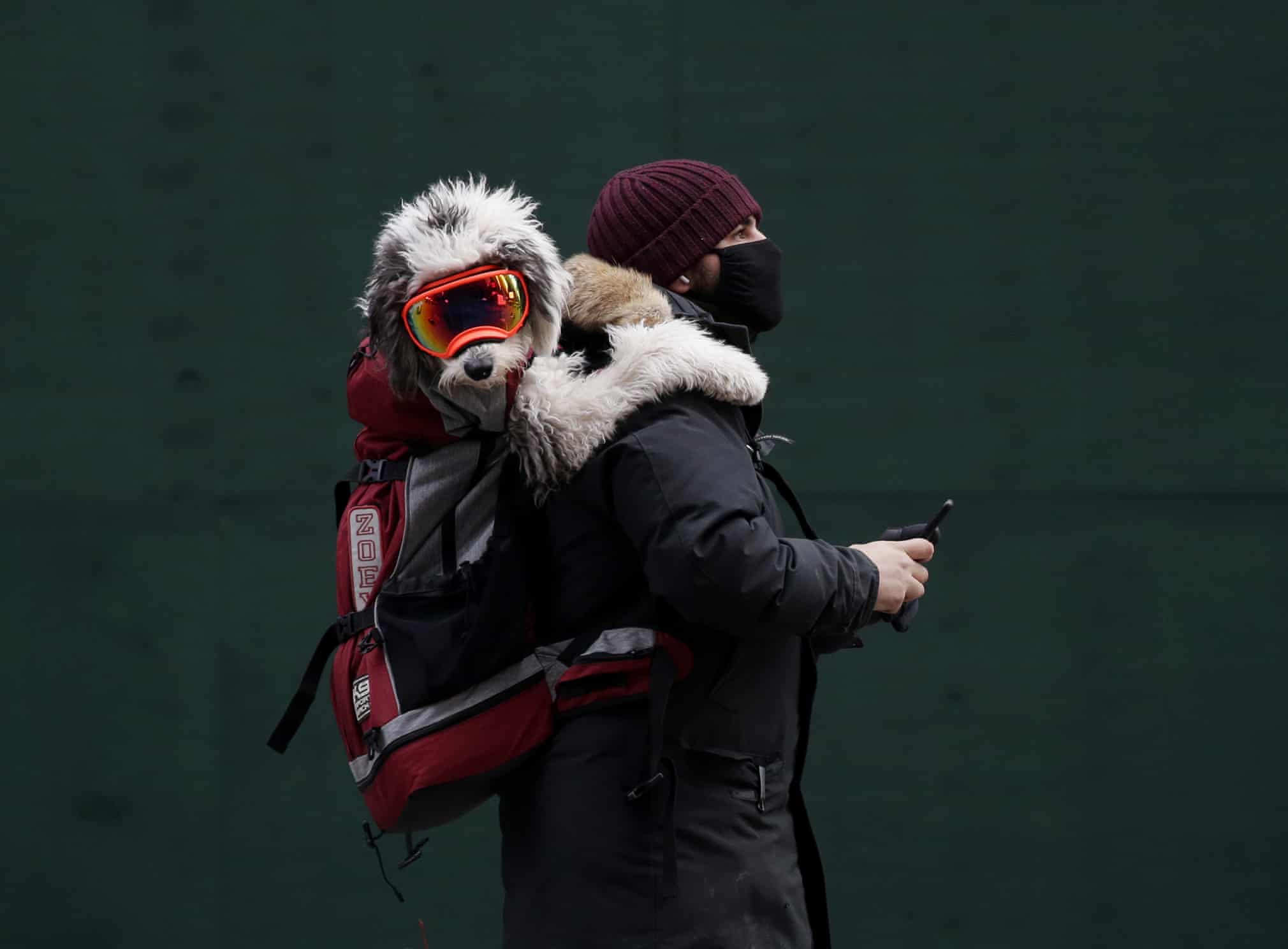 Guardian photos of the day. - Page 28 4000