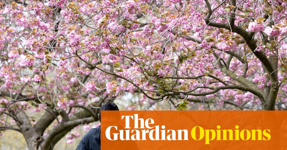 Let's stop asking why women aren't having children and ask, for once: why aren't men? | Rhiannon Lucy Coslett