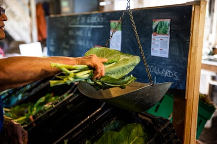 Collard greens are weighed on a scale.