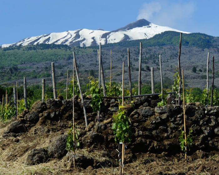 The high drama of volcanic wines