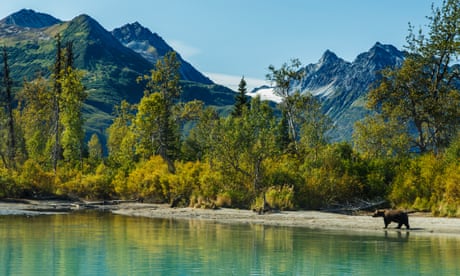 Eowyn Ivey on Alaska: ‘I was told never to run from a charging bear. Yet I did just that’