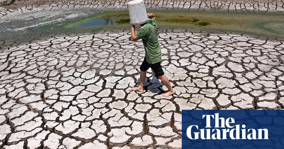 Climate crisis: average world incomes to drop by nearly a fifth by 2050 | Climate crisis