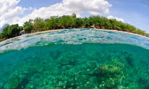 Coral island: Pemuteran beach in Bali, Indonesia, with healthy protective coral growing close to land.
