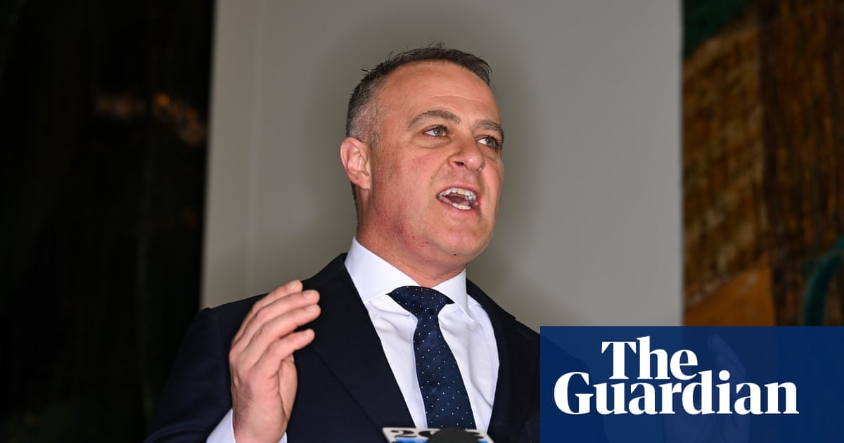 ‘Never, ever’: Tim Wilson walks back comments on potential One Nation rightwing alliance