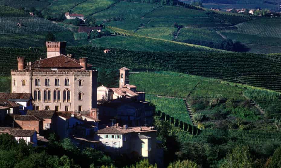 Perfect Piedmont: vineyards around Barolo Castle.