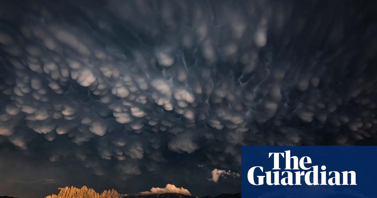 2020 GDT European wildlife photographer of the year – winners