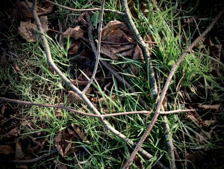 The twigs fell individually but made patterns or shapes