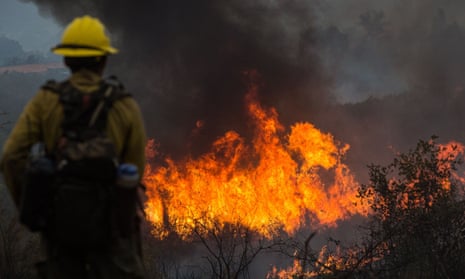 A firefighter keeps watch as crews light backfires near Groveland, California.