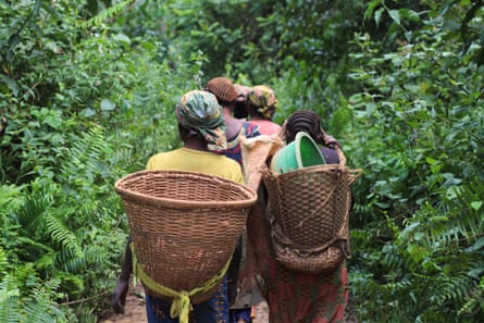 Women walk through the rainforest to reach a mining quarry near Kailo