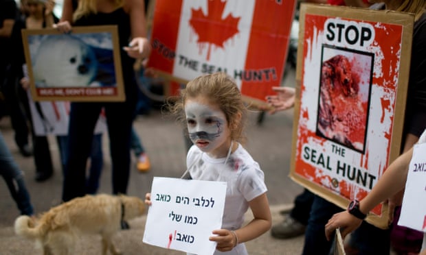 Environmental activists protest signs against Canada’s seal hunt during in front of the Canadian embassy in Tel Aviv, Israel.