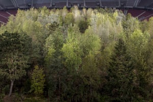 Klaus Littmann's For Forest - The Unending Attraction of Nature, Art Intervention 2019, Wörthersee Stadium, Klagenfurt, Austria